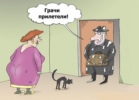 смешная и прикольная карикатура