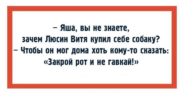 Подробнее о статье Читать бесплатно смешные еврейские анекдоты