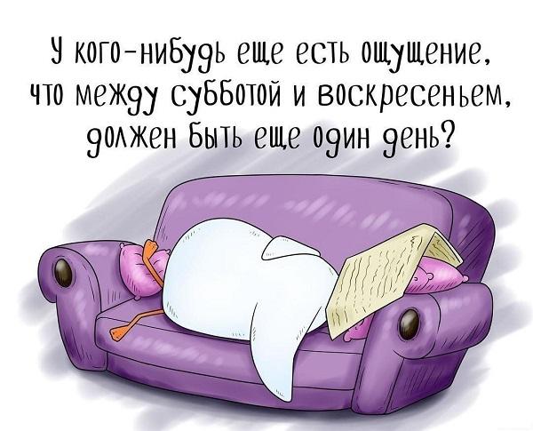 Подробнее о статье Анекдоты про субботу и воскресенье