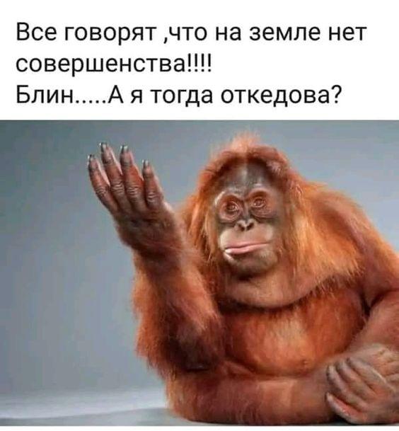 Картинки с надписями