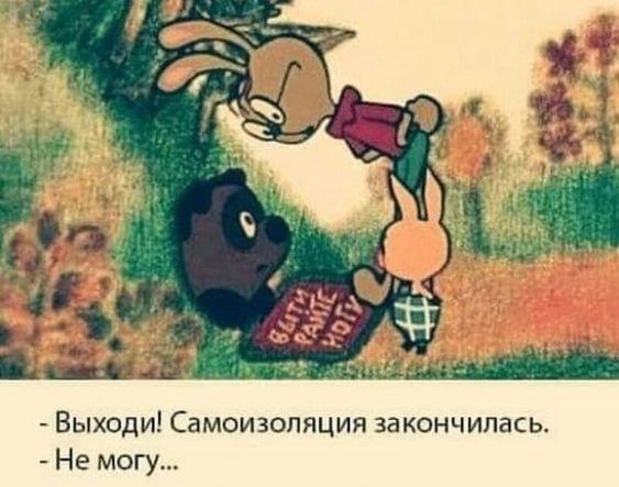 Мемы с Винни Пухом