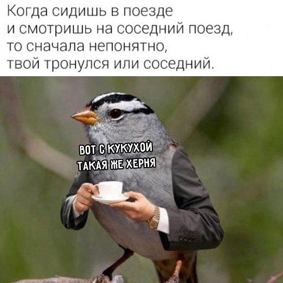 Смешные свежие мемы