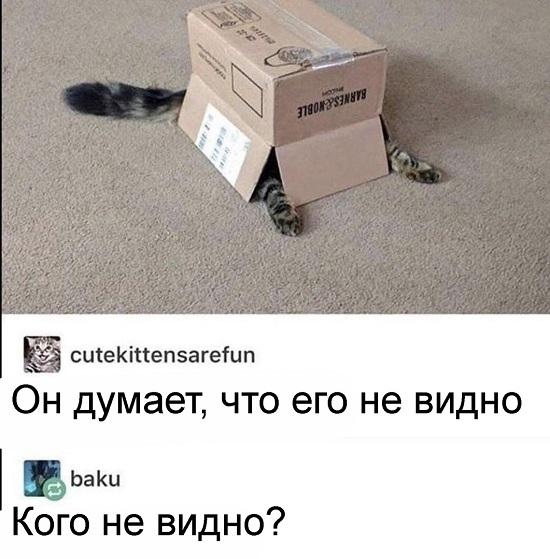 Смешные свежие мемы