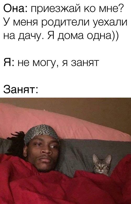 Смешные свежие мемы