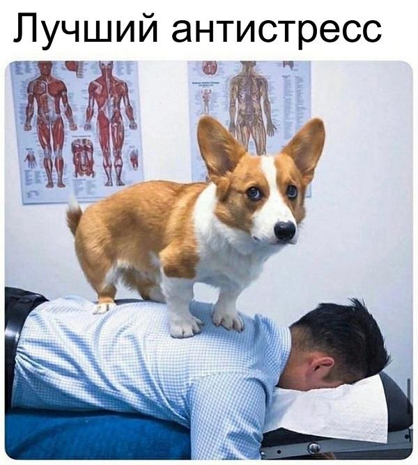 Смешные свежие мемы