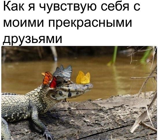 Смешные свежие мемы