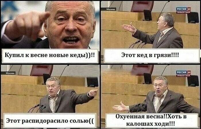 Смешные мемы с Жириновским