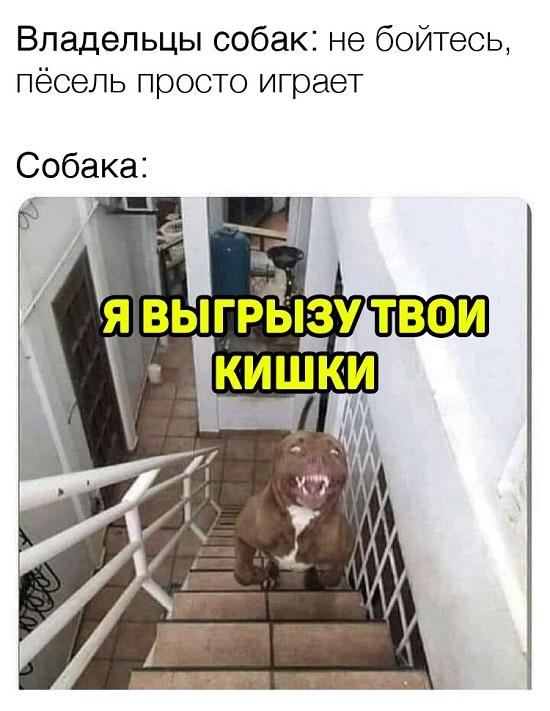 Смешные свежие мемы