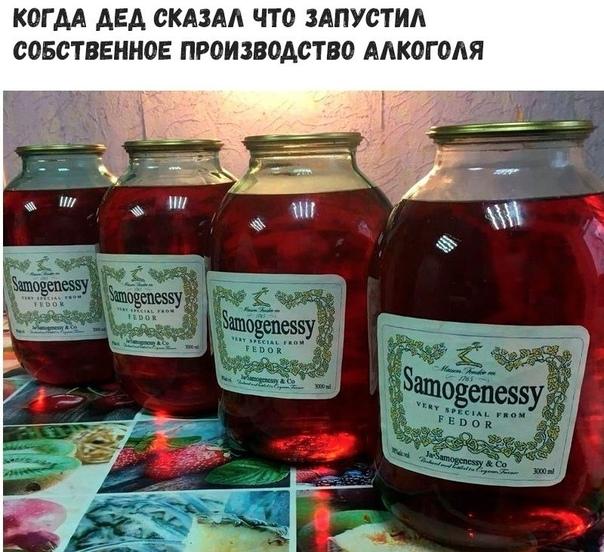 Смешные свежие мемы