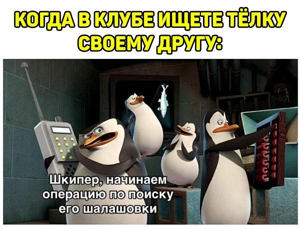 Смешные свежие мемы