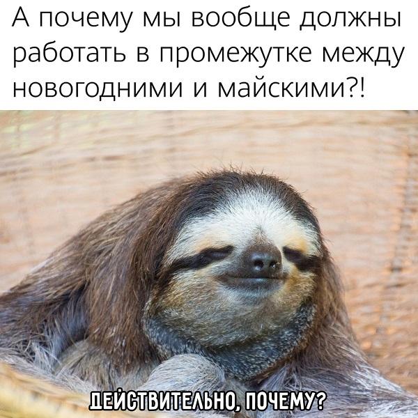 Смешные свежие мемы