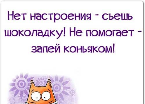 Подробнее о статье Новые шутки и приколы