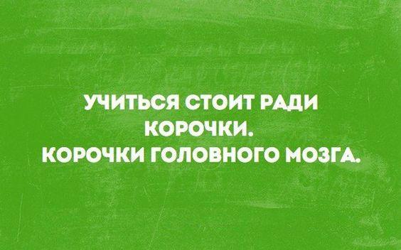 Подробнее о статье Самые веселые шутки