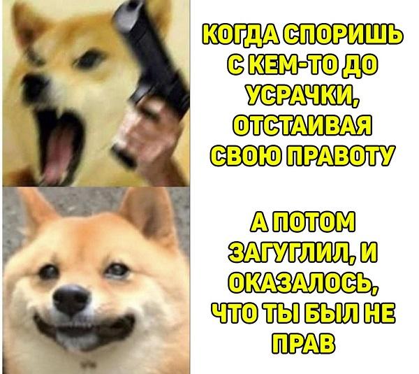 Смешные свежие мемы