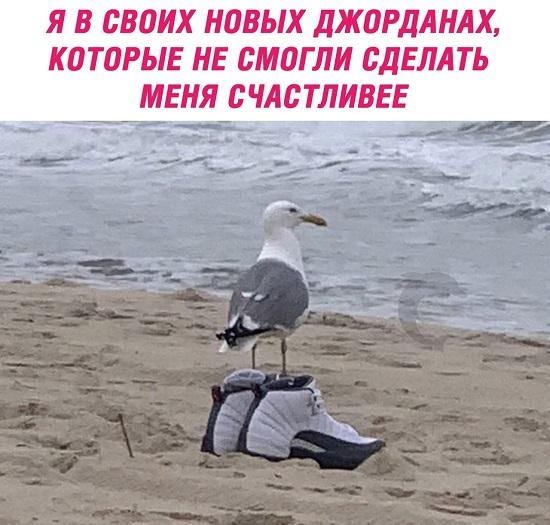 Смешные свежие мемы