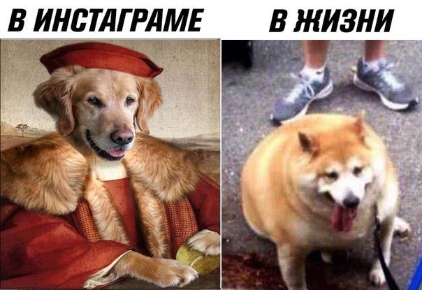 Смешные свежие мемы