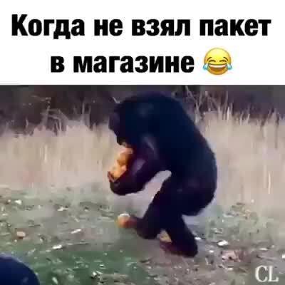 Картинки с надписями