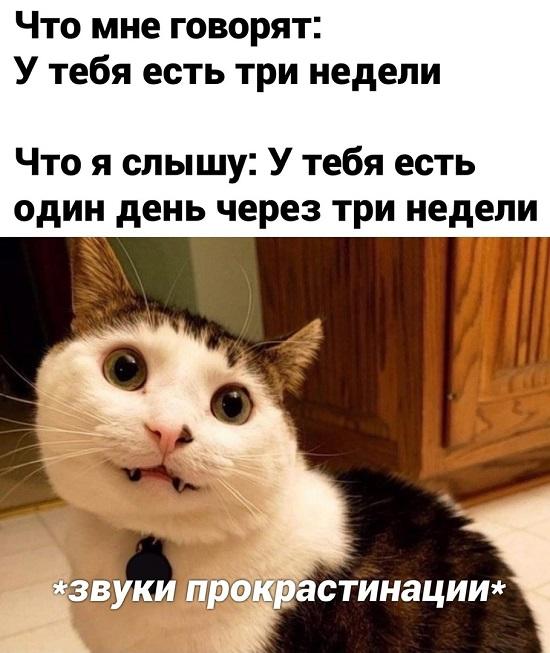 Смешные свежие мемы