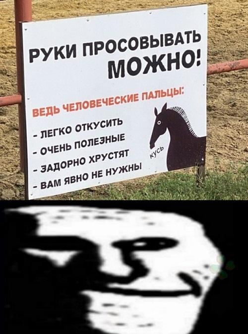 Смешные свежие мемы