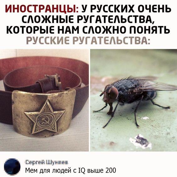 Картинки с надписями