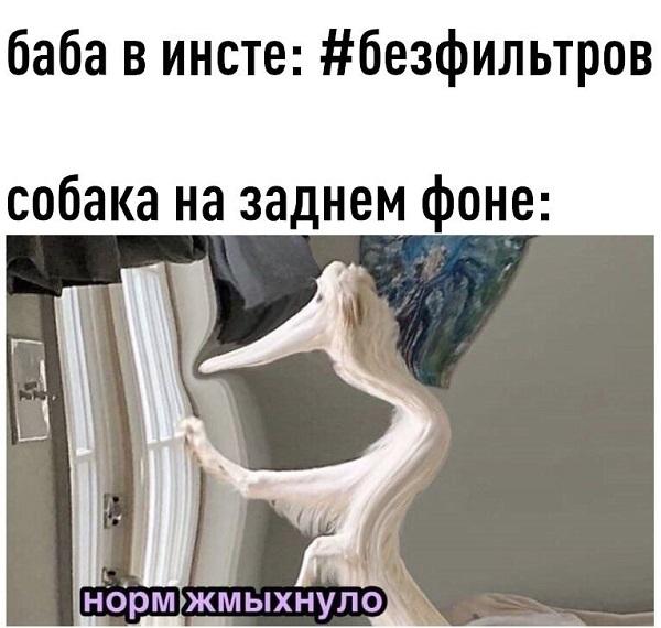 Смешные свежие мемы