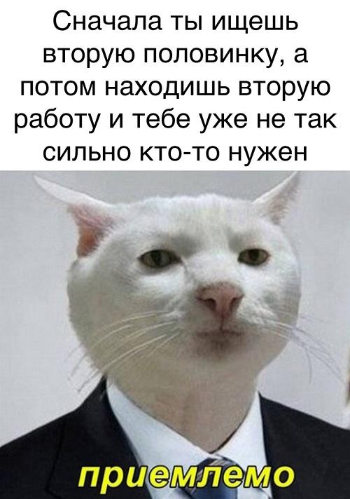 Смешные свежие мемы