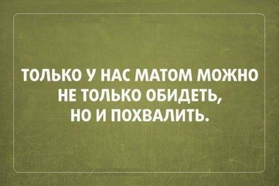 Подробнее о статье Смешные свежие шутки 31.05.2021