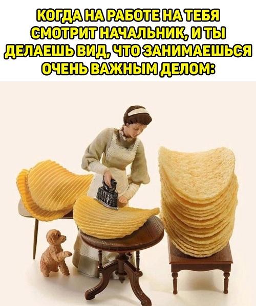 Смешные свежие мемы