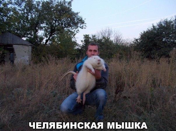 Смешные свежие мемы