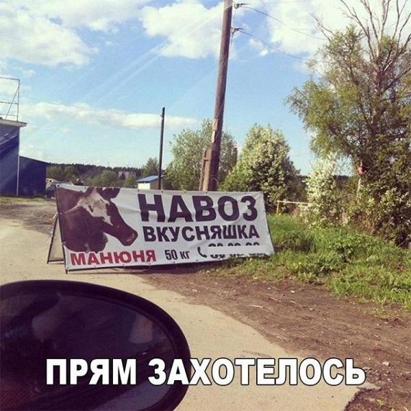 Смешные свежие мемы