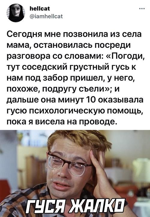 Смешные свежие мемы