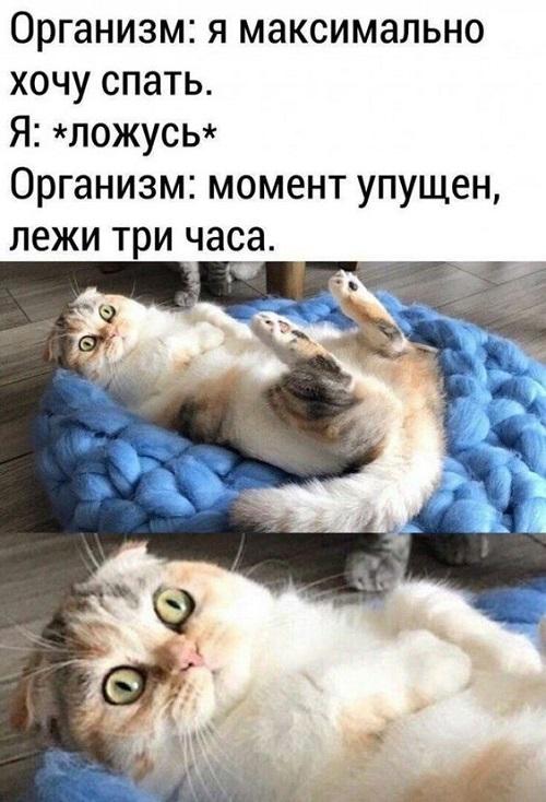 Смешные свежие мемы