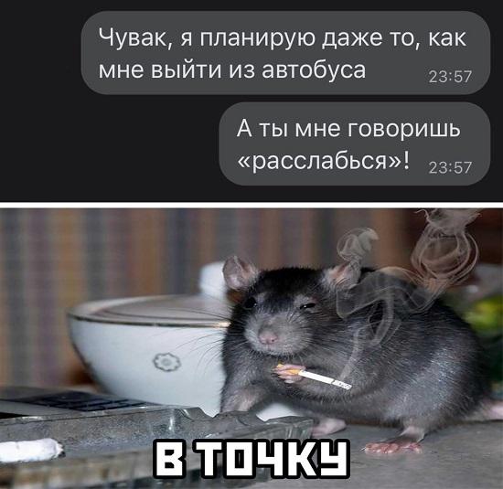 Смешные свежие мемы