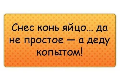 Подробнее о статье Смешные свежие шутки 10.06.2021