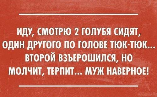 Подробнее о статье Смешные свежие шутки 25.06.2021