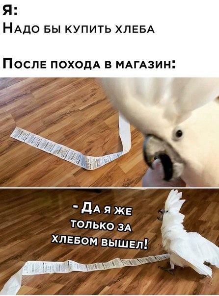 Смешные свежие мемы