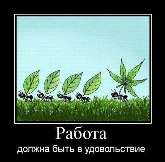 Свежие демотиваторы про работу