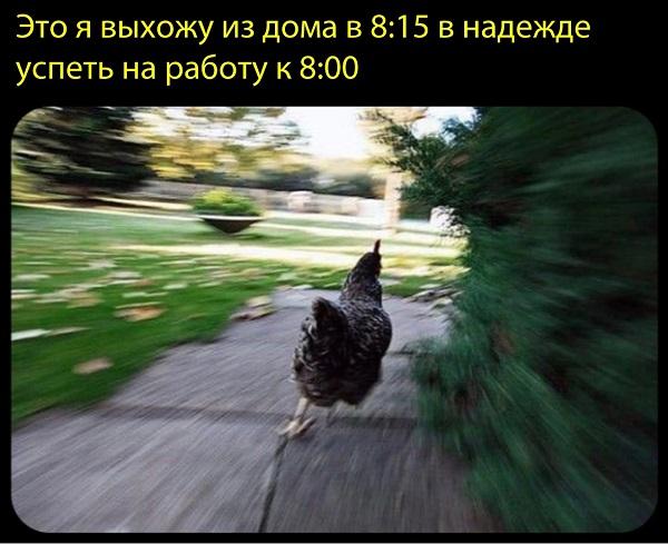 Смешные свежие мемы