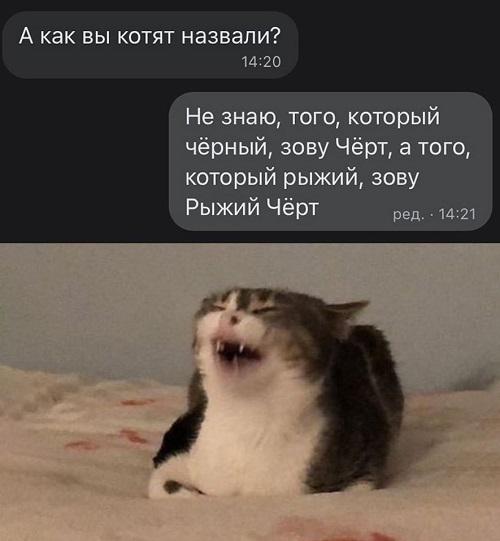 Смешные до слез мемы