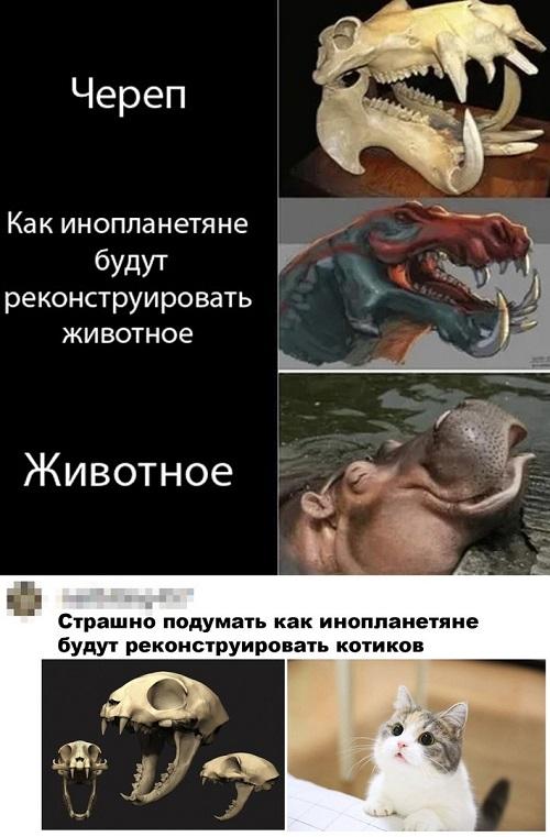 Картинки с надписями