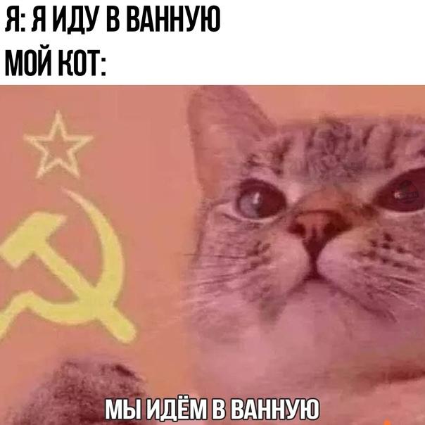 Смешные свежие мемы