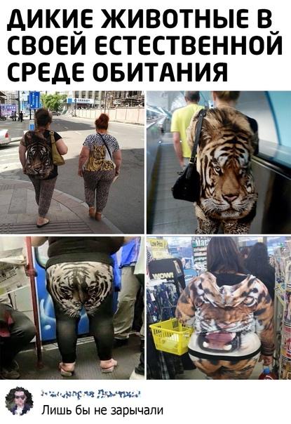 Смешные свежие мемы