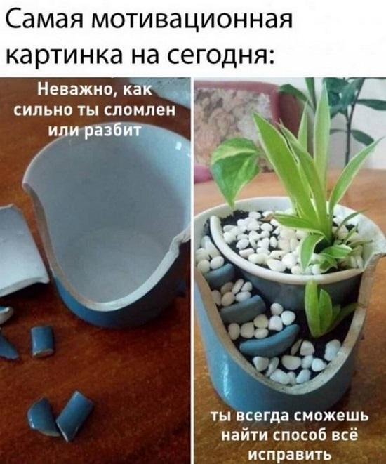 Картинки с надписями