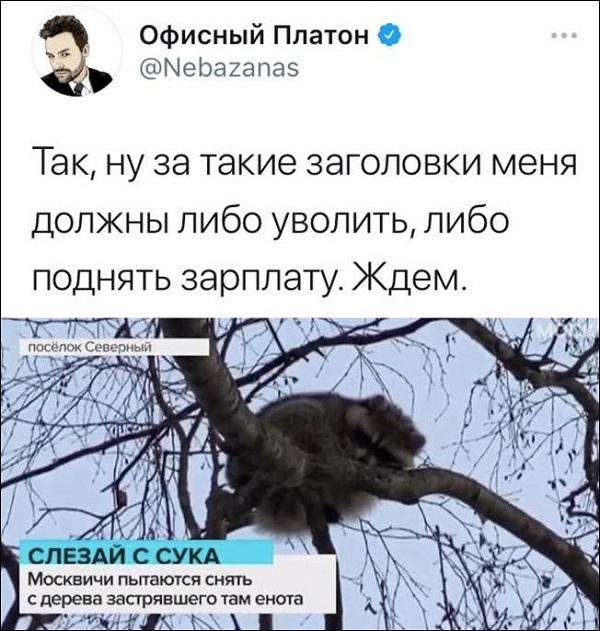 Картинки с надписями