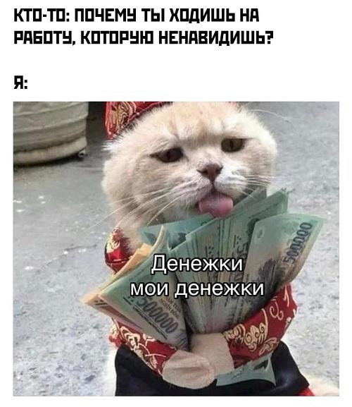 Смешные свежие мемы