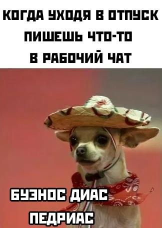 Смешные свежие мемы