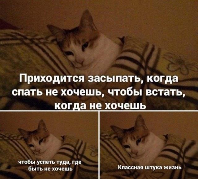 Смешные свежие мемы