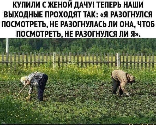 Картинки с надписями