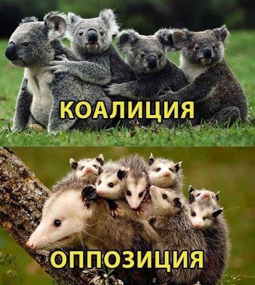 Смешные свежие мемы