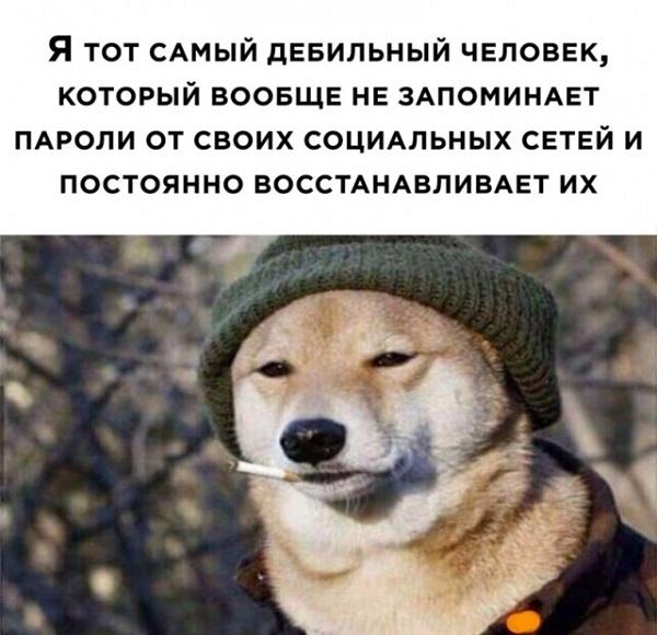 Смешные свежие мемы